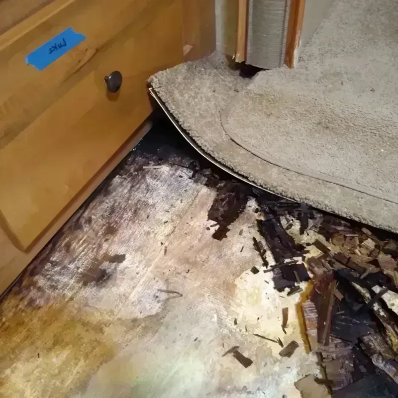 Wood Floor Water Damage in Claypool, AZ